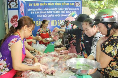 Đồng Nai cơ cấu lại khoản nợ gần 28 tỷ đồng cho ngành chăn nuôi lợn 